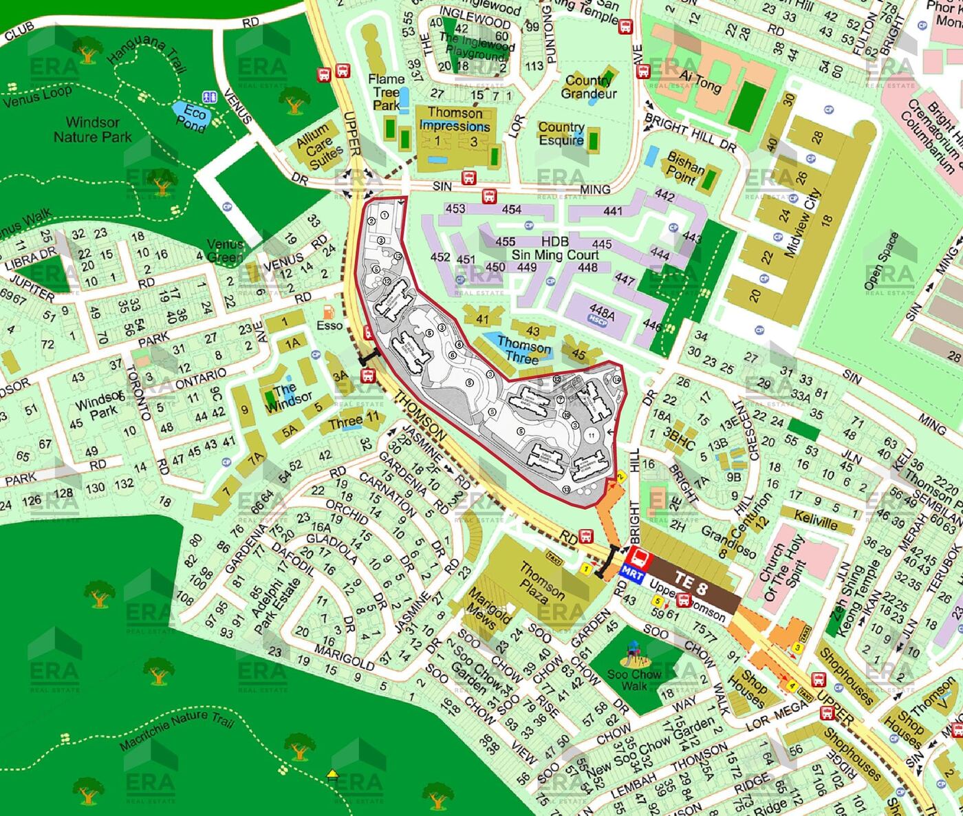 Thomson Reserve — Perspective View